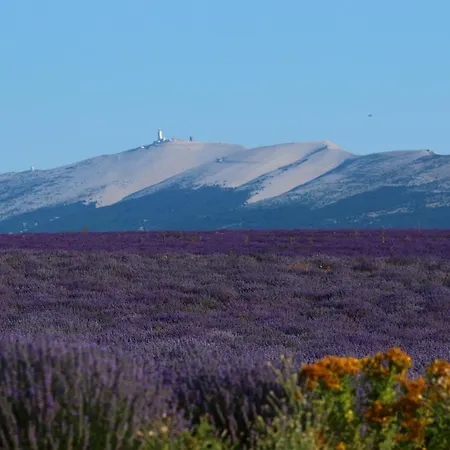 Bed & Breakfast Au Clair Ventoux - *