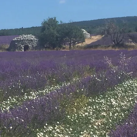Bed & Breakfast Au Clair Ventoux -
