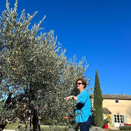 Bed & Breakfast Au Clair Ventoux -