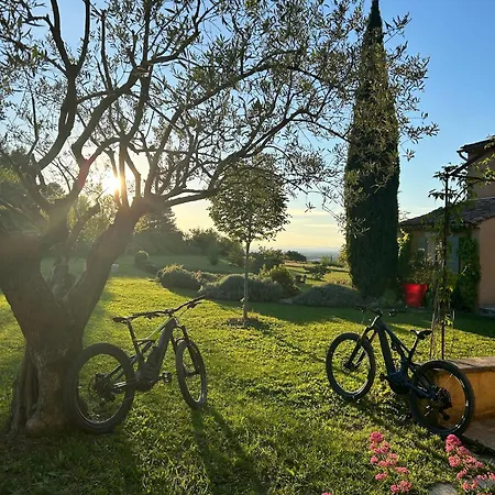 Au Clair Ventoux - * Saint Didier (Vaucluse)