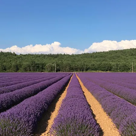 Bed & Breakfast Au Clair Ventoux - *
